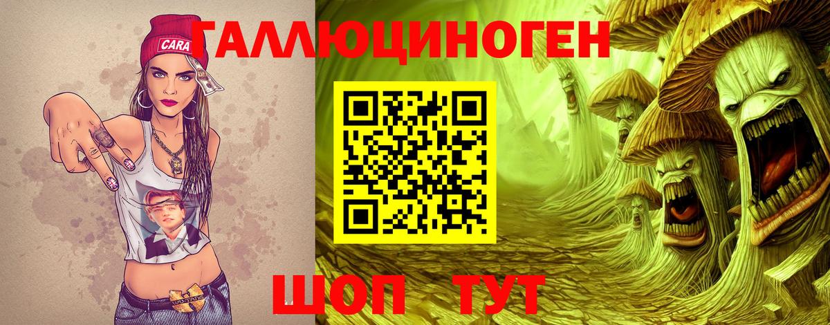 Псилоцибиновые грибы GOLDEN TEACHER  цены   Псилоцибиновые грибы Magic Shrooms  Тосно  Вход с VPN 