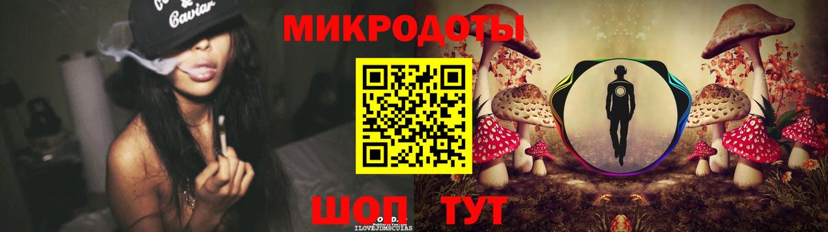 Псилоцибиновые грибы мицелий Тосно